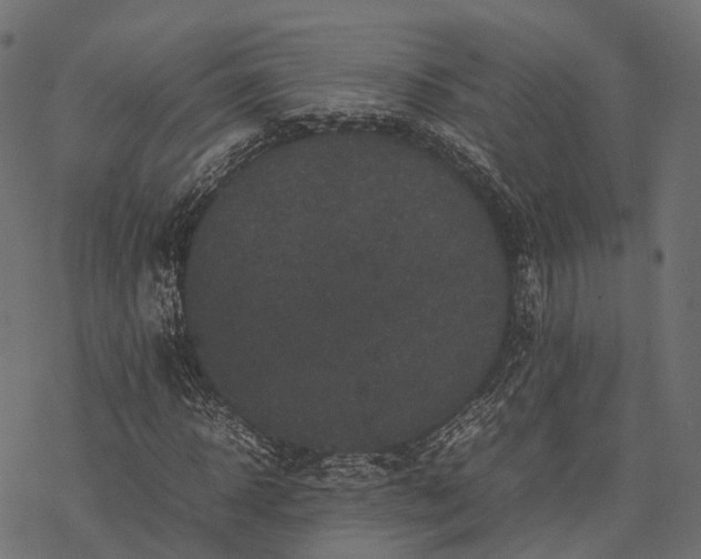 X0000077290918200611031546