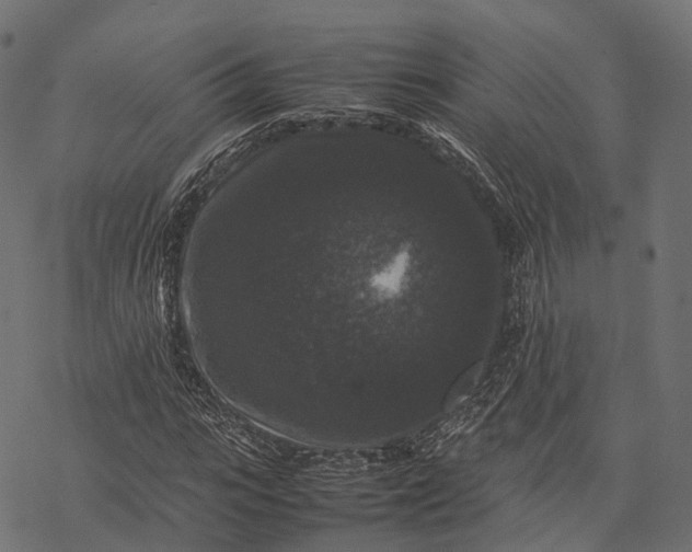 X0000077290919200611031546