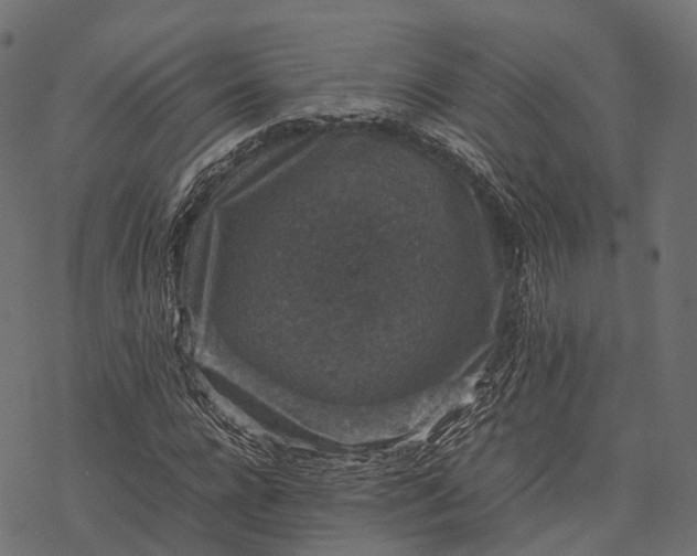 X0000077290920200611031546