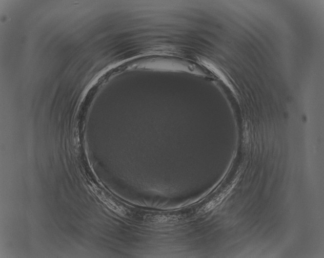 X0000077290923200611031546