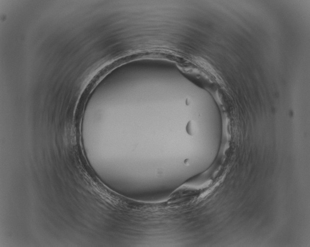 X0000077290924200611031546