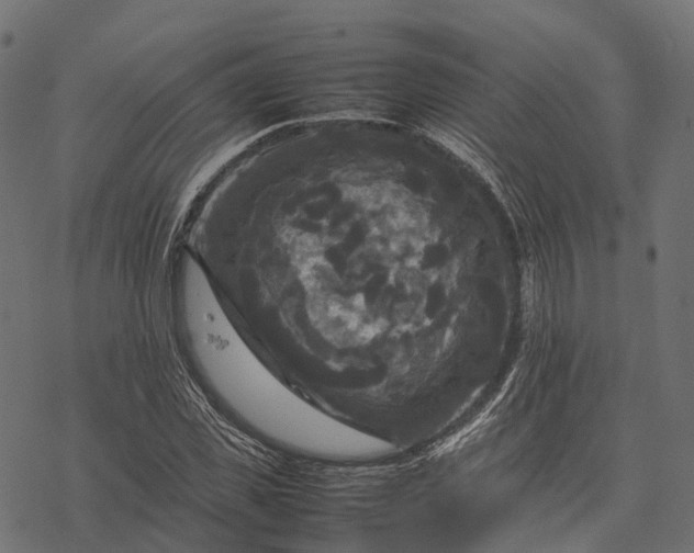 X0000077290925200611031546