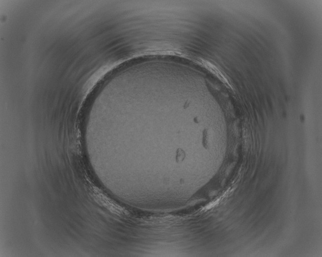 X0000077290926200611031546