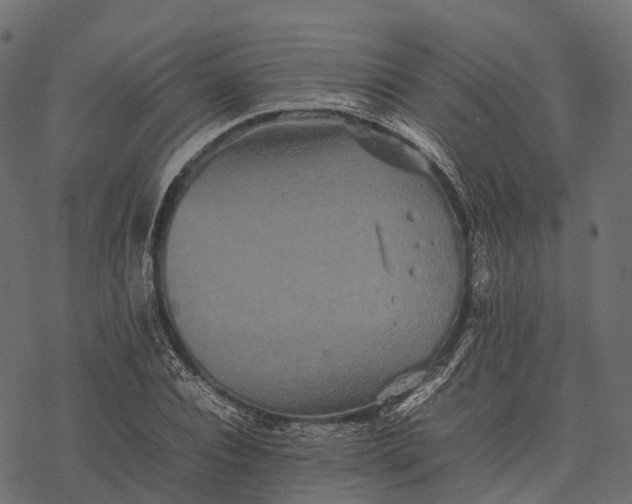 X0000077290928200611031546