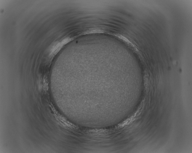 X0000077290929200611031546