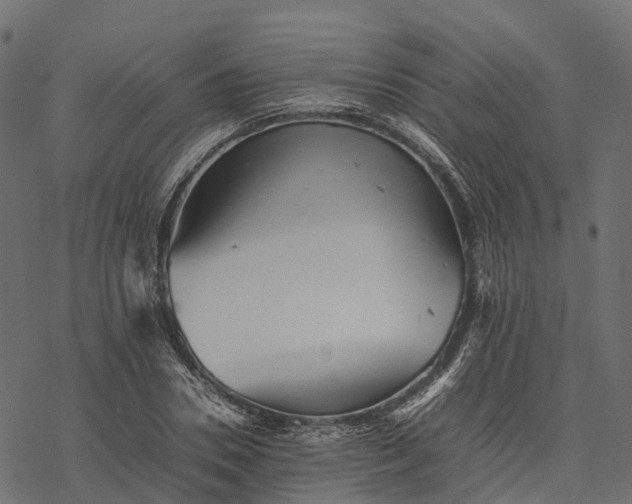 X0000077290930200611031546