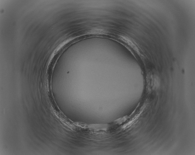 X0000077290931200611031546