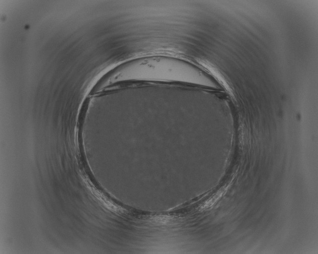 X0000077290932200611031546