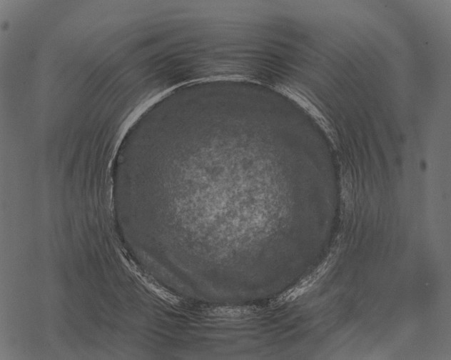 X0000077290933200611031546