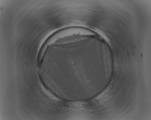 X0000077290934200611031547