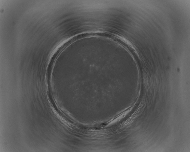 X0000077290935200611031547