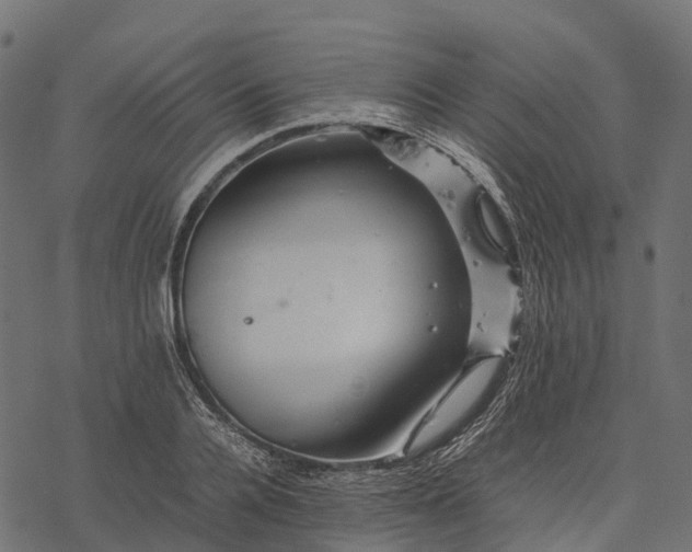 X0000077290936200611031547