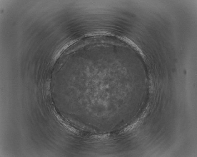 X0000077290937200611031547