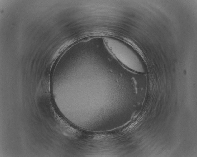 X0000077290938200611031547