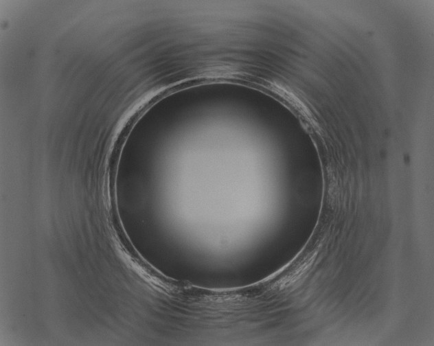 X0000077290939200611031547