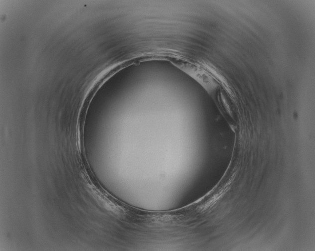 X0000077290940200611031547