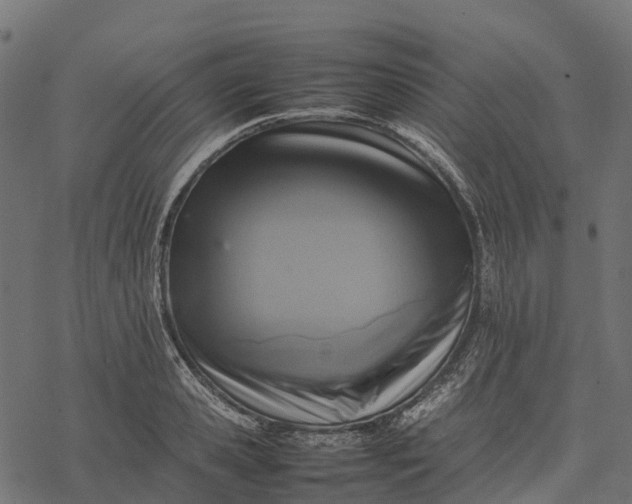 X0000077290941200611031547