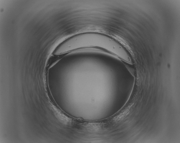 X0000077290942200611031547