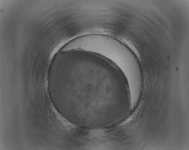 X0000077290944200611031547