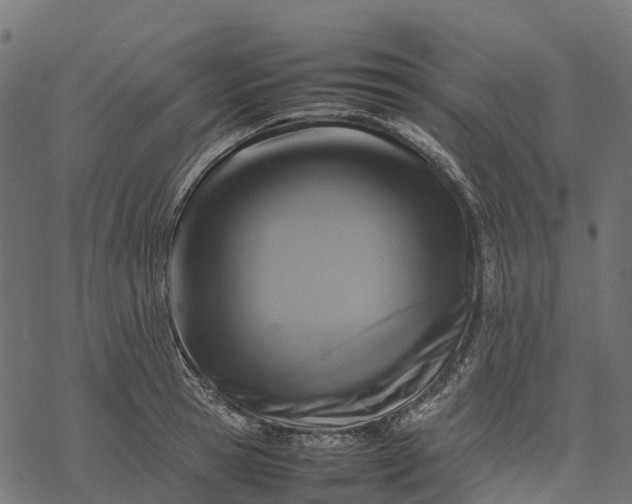 X0000077290945200611031547