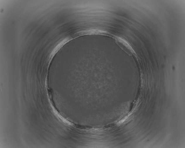 X0000077290946200611031547