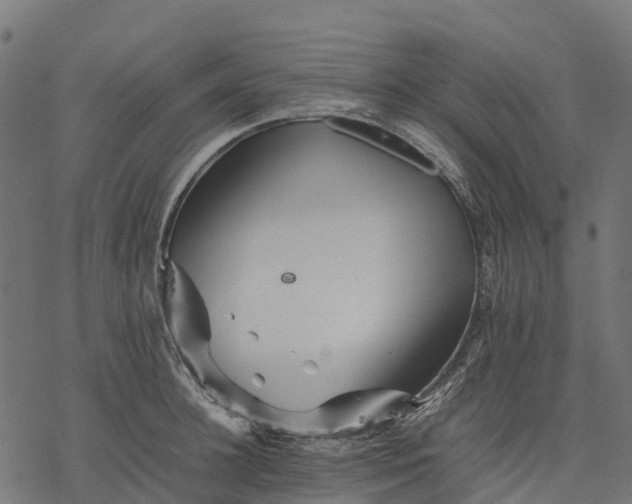 X0000077290948200611031547