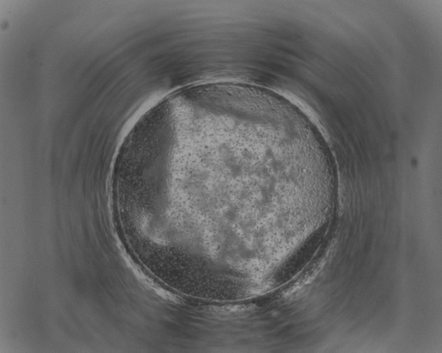 X0000077290949200611031547