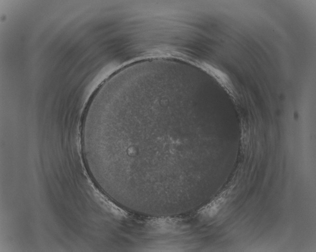 X0000077290950200611031547