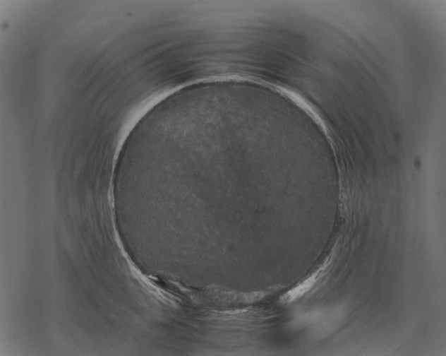 X0000077290951200611031547