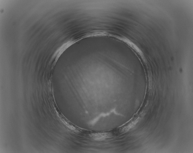 X0000077290953200611031547