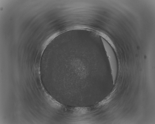 X0000077290954200611031547