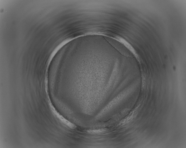 X0000077290955200611031547