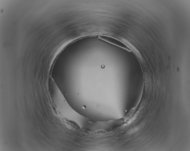 X0000077290956200611031547