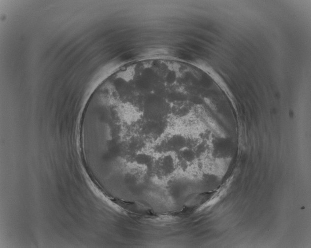 X0000077290957200611031547