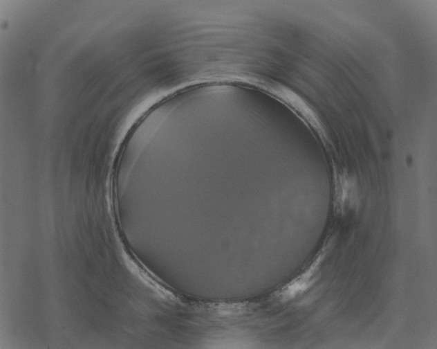 X0000077290958200611031547