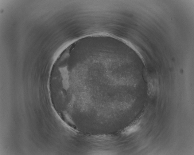 X0000077290959200611031547