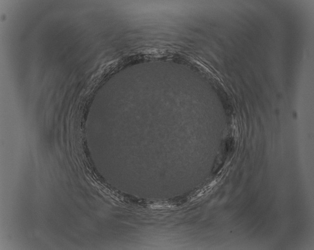 X0000077290961200611031546