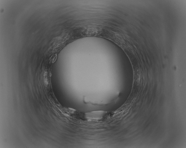 X0000077290962200611031546