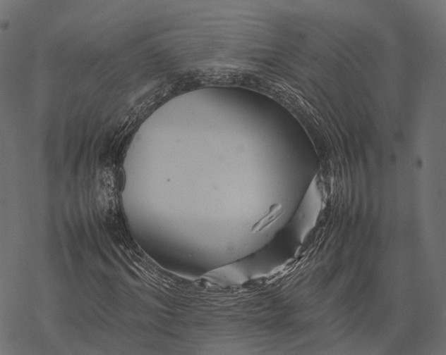 X0000077290964200611031546