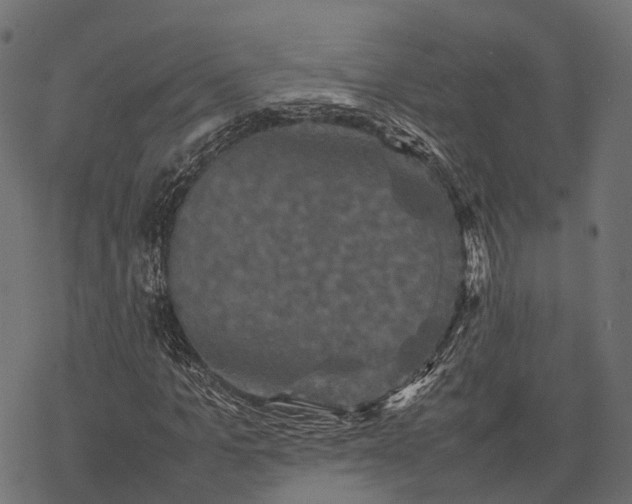 X0000077290965200611031546