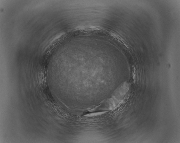 X0000077290966200611031546