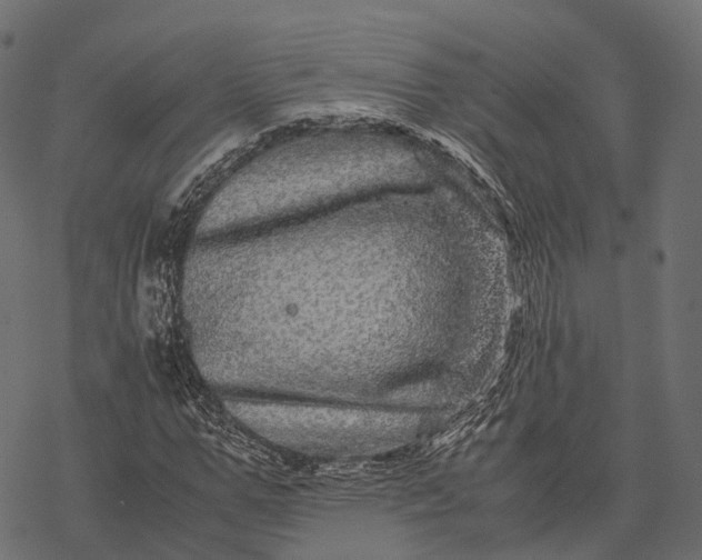 X0000077290967200611031546