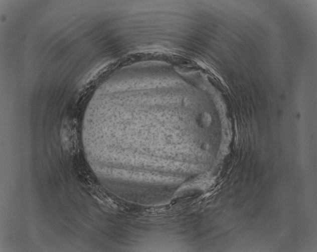 X0000077290968200611031546