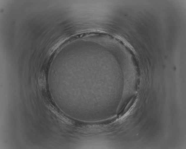 X0000077290969200611031546