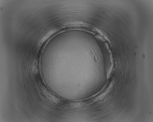 X0000077290970200611031546