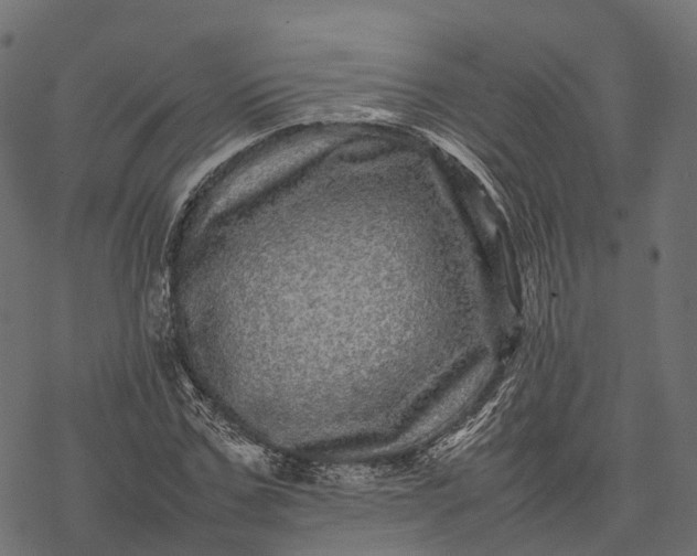 X0000077290971200611031546