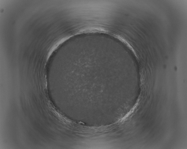 X0000077290973200611031546