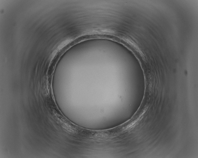 X0000077290974200611031546