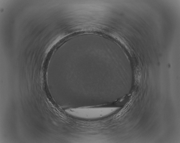 X0000077290975200611031546