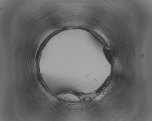 X0000077290976200611031546